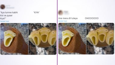 Picture of 'Singing Pasta' Are Latest Meme Trend, Netizens Use Song Lyrics  to Crack Jokes on Funny Pics of Penne, See Best Ones! | 👍 LatestLY