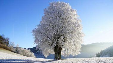 Seeing Snow in Your Dreams? Know the Meaning And Interpretation of Seeing Snowfall While Sleeping