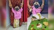 Pawdorable! Pug Donning Malayali Traditional Outfit &lsquo;Kalli Mundu&rsquo; Looking for a Match Online Wins Hearts on the Internet (See Viral Pic)