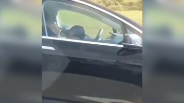 Tesla Car Driver and Passenger Both Caught Sleeping in Moving Vehicle, Autopilot Feature Sparks Mixed Reactions Online (Watch Viral Video)