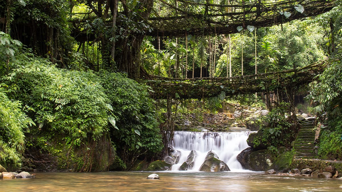 Double Decker Living Root Bridge, Nature preserve in Cherrapunji, Meghalaya Double Decker Living Root Bridge, Nature preserve in Cherrapunji, Meghalaya