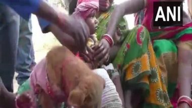 Odisha Tribal Community Marries Two Children to Dog to Ward Off Evil Spirits