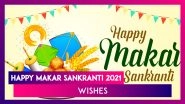 Makar Sankranti 2021: WhatsApp Messages, Photos, Greetings And Wallpapers on Kite Flying Festival