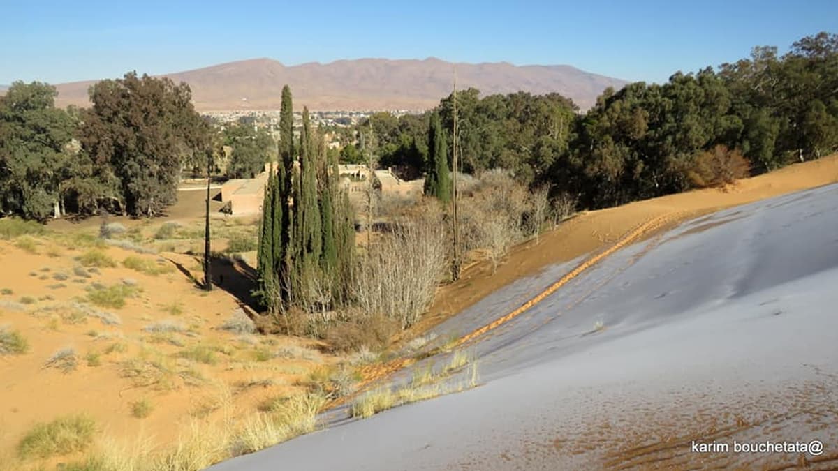 Photos of Snow-Covered Sahara Desert Were Captured by Local ...