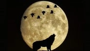 Wolf Moon 2021 Tomorrow: From Where to Watch This Year&rsquo;s First Full Moon to Wolf Moon Date & Time, Know Everything About January&rsquo;s Lunar Event