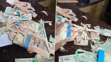 Termites Feed on Cash Worth Lakhs Kept in Bank of Baroda’s Locker in Gujarat’s Vadodara; Bank Terms It ‘Unnatural Incident’, Assures Immediate Action