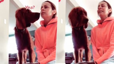 Call Your Dog’s Name Challenge Is Social Media Users’ Latest Obsession, Viral Videos Capture Confused Expressions of Pooches as Pet Owners Hilariously Prank Them