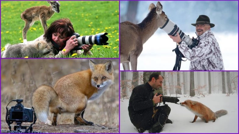Funniest Wildlife Photos! Twitter Thread of Animals Interrupting Wildlife Photographers is The Perfect Respite From Doomscrolling Online (See Viral Pics)