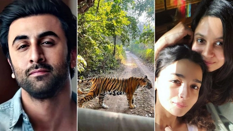 Ranbir Kapoor Is A Brilliant Wildlife Photographer And This Picture Shared By Alia Bhatt&rsquo;s Sister Shaheen From Their Ranthambore Trip Is Enough To Prove!