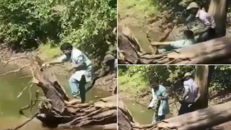 Karnataka Reptile Expert Narrowly Escapes Cobra Bite in Shivamogga, Watch Video