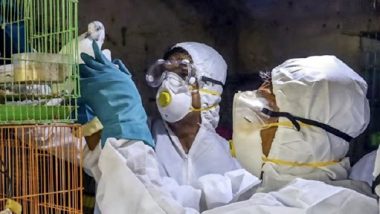 Bird Flu in India: All You Need To Know About H5N1 and H5N8, the Avian Flu That Has Killed Many Birds in Several States