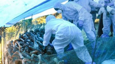 Bird Flu Update in India: Delhi, Maharashtra, Rajasthan and 7 Other States Affected by Avian Influenza; Authorities on Alert Amid Rising Cases; Here’s What We Know So Far