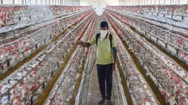 Bird Flu Status in India: Avian Influenza Confirmed in Chhattisgarh’s Poultry Farm, 11 States Affected So Far; Authorities on Alert