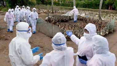 Bird Flu Outbreak in India: Avian Influenza Confirmed in Poultry Farms in 5 States, Culling Operations Underway; Check Current Status of Affected States