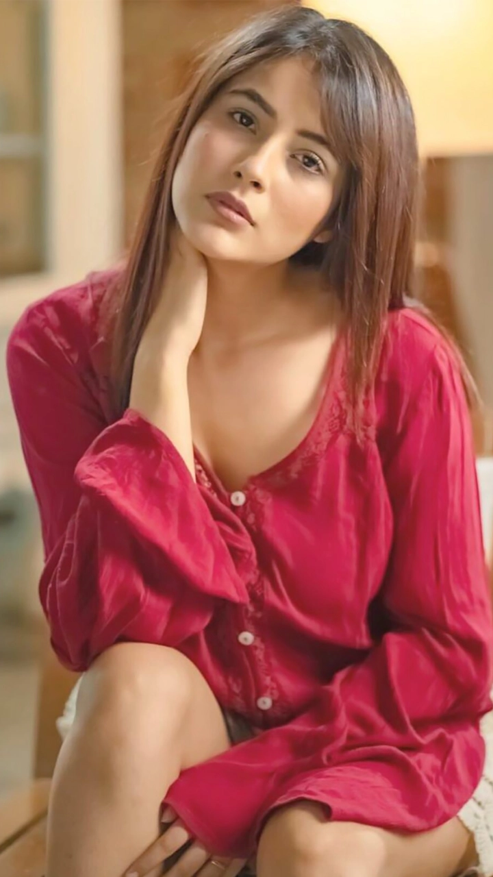 Shehnaaz Gill Clocks 7 Million Instagram Followers: 10 Photos That Will Turn You Into Sana’s Fan!