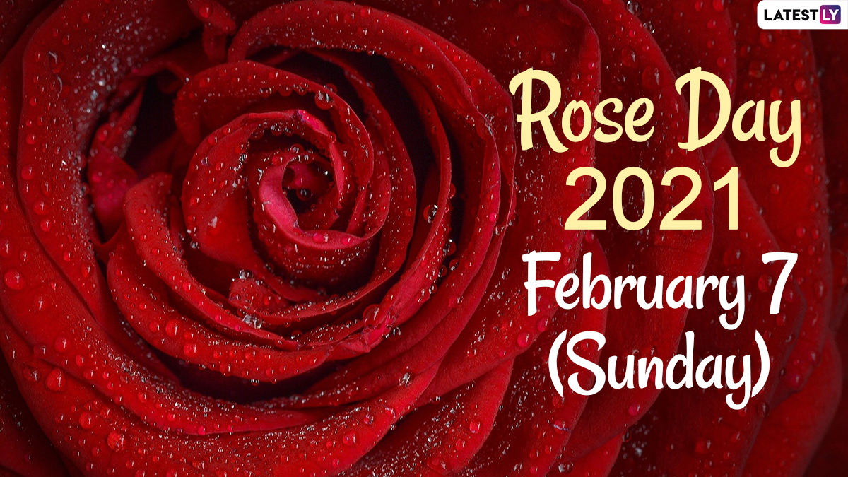 Featured image of post Date Sheet Valentine Week 2021 : Below is the full list of valentines week 2020.