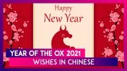 Year of the Ox 2021 Wishes in Chinese: Wish 'Xin Nian Kuai Le' To Family & Friends Celebrating CNY