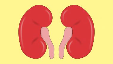 Increased Temperatures Contribute to More Kidney Disease Cases: Study