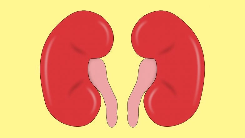 World Kidney Day 2021: From Sodas to Tomatoes, 5 Foods You Should AVOID for Healthy Kidneys