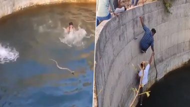 Men Risk Their Life to Rescue Cobra Trapped in Well, Vigilant & Brave, Video of Snake Being Saved by Men Will Startle You!