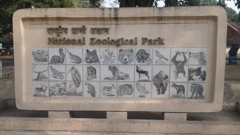 Delhi Zoo To Reopen From August 1 2021 With COVID-19 Safety Protocols, Tickets Can Be Booked Online From July 31