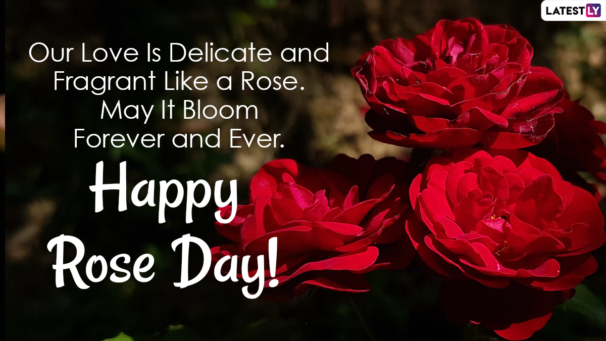 Happy Rose Day 2021 Wishes and Quotes: HD Images, Greetings, WhatsApp ...