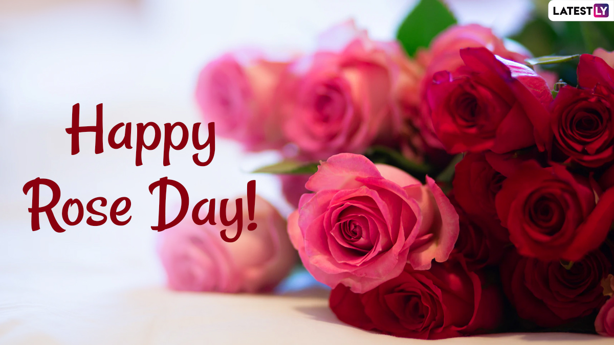 Happy Rose Day 2021! Twitter Celebrates The First Day of ...