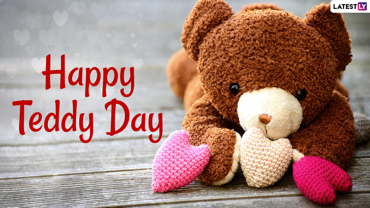 Happy Teddy Day 2021 Wishes and Cuddle Quotes: Cute Teddy Bear HD ...