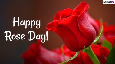 Rose Day 2021 HD Images, Greetings and Wishes: Share Rose Day GIFs, WhatsApp Stickers, Videos, Telegram Messages and Pics With Your Loved Ones