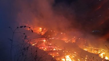 Himachal Pradesh: Five Houses Gutted In Fire After Major Fire Breaks Out in Shimla