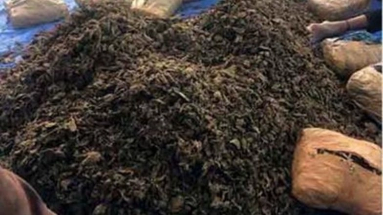 Bengaluru-Based Iranian MBA Graduate Arrested From Private Villa in Bidadi For Growing Hydronponic Ganja in Fish Tank