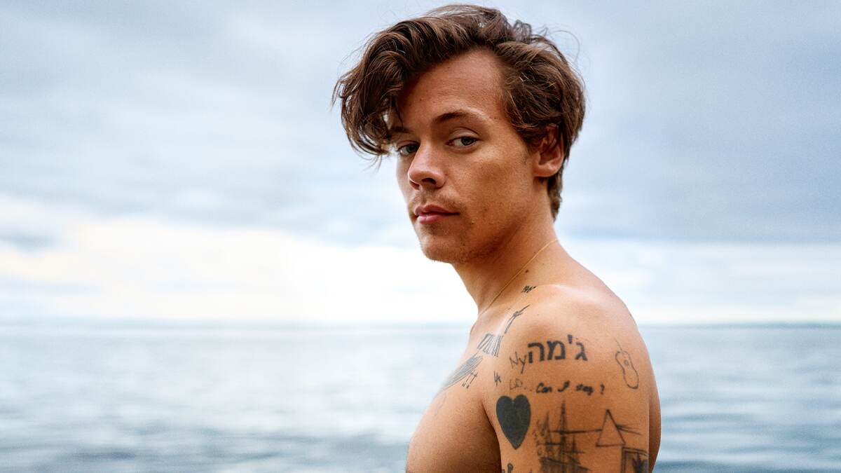 Harry Styles, English Singer, Songwriter, and Actor Harry Styles, English Singer, Songwriter, and Actor