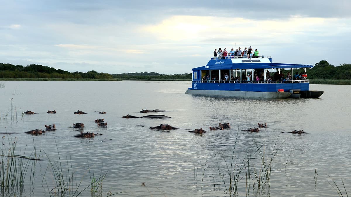 iSimangaliso Wetland Park is situated on the east coast of KwaZulu-Natal, South Africa. iSimangaliso Wetland Park is situated on the east coast of KwaZulu-Natal, South Africa.