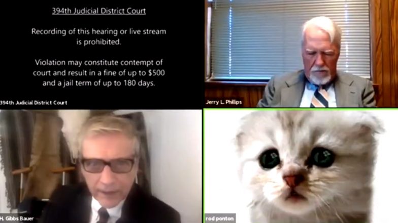 ‘I Am Not a Cat,’ US Lawyer Informs Judge As He Struggles With Kitten Zoom Filter During Virtual Hearing, Funny Viral Video Is Making Netizens Cry Out of Laughter