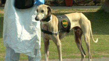 Indian Army Trains Two Dogs, 'Chippiparai' and 'Cocker Spaniel', To Detect COVID-19 Using Sweat And Urine Samples