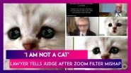&lsquo;I Am Not A Cat&rsquo;: Us Lawyer Tells Judge After A Zoom Filter Mishap During Online Court Session