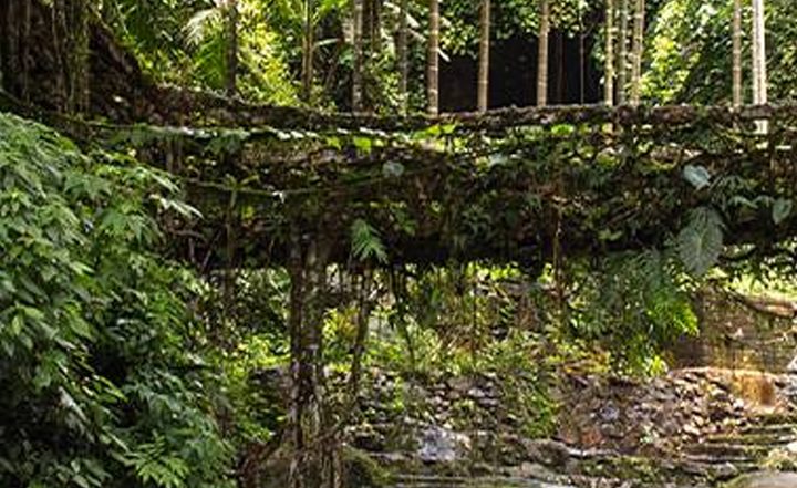 8 Enchanting Places in Meghalaya That Will Leave You Speechless