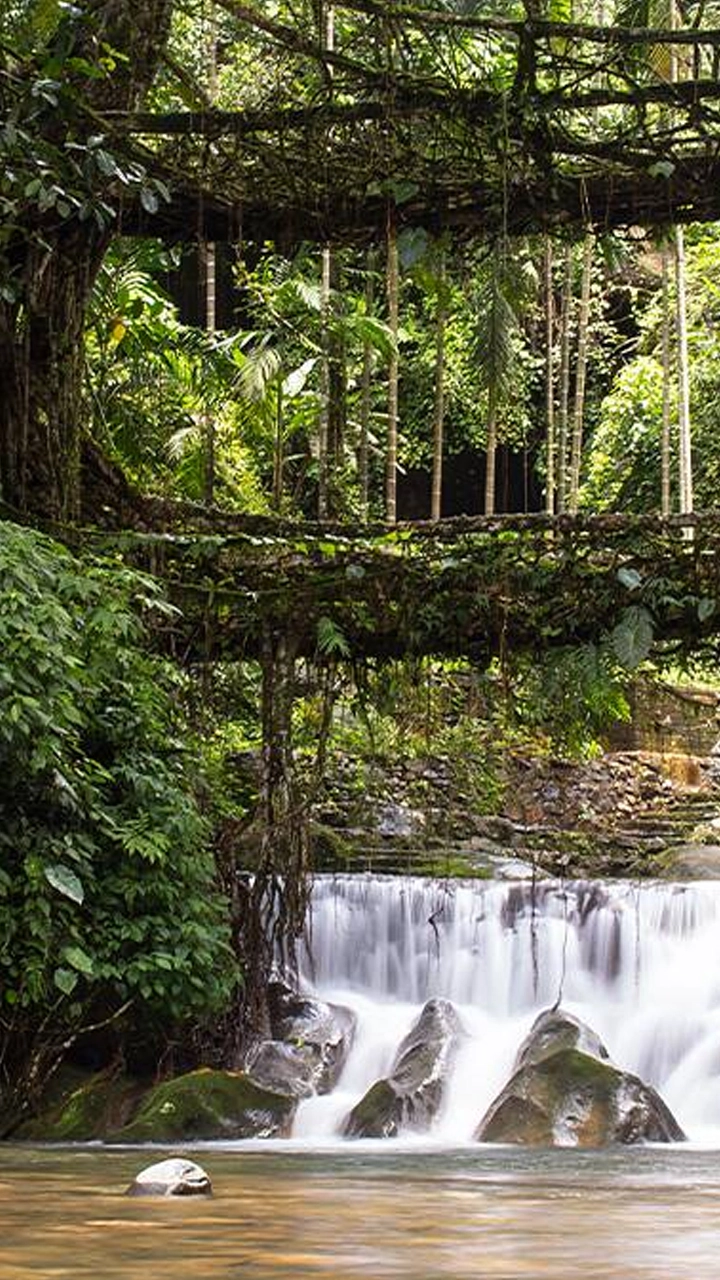 8 Enchanting Places in Meghalaya That Will Leave You Speechless