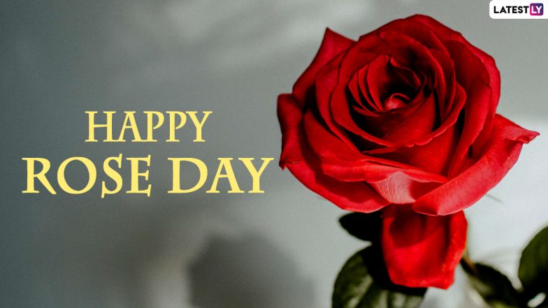 Happy rose day to 2024 gf