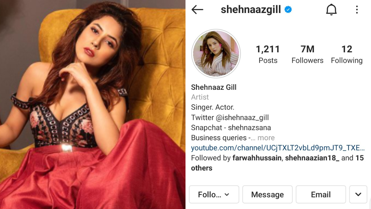 Shehnaaz Gill Hits 7 Million Followers on Instagram and Fans Are in a  Celebratory Mood! | 📺 LatestLY