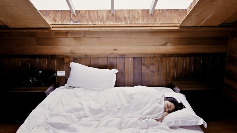Dreams and Its Meaning: From ‘What Does It Mean When You Dream About Your Ex’ to Dreaming About Snakes, 5 Most Common Dreams and What They Mean