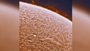 ‘Clearest Picture of the Sun From NASA’ Tweet Goes Viral, Know Truth Behind the Software-Processed Image