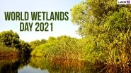 World Wetlands Day 2021 Date and Theme: Know the Significance of Wetlands Providing a Wide Range of Important Ecosystem Services