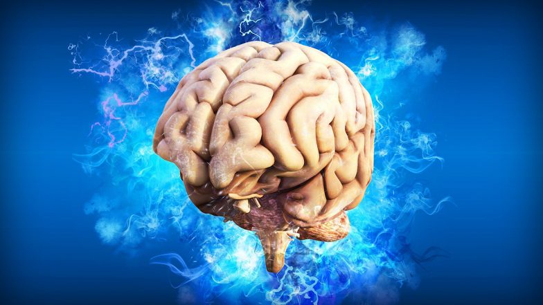 Longevity Gene 'FOXO3' Protects Brain Stem Cells From Harmful Effects of Stress, Find Out How