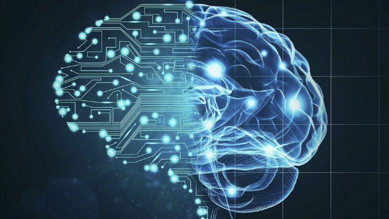 Billionaire Potanin Donated $6.7 Million for Human Brain Links Research
