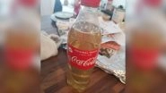 Urine in Coke Bottle: HelloFresh UK Customer Disgusted After Receiving &lsquo;Bottled Up Piss&rsquo; as Part of Food Order, Meal-Kit Company Apologises As Pic Goes Viral
