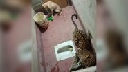 Karnataka: Dog Survives Six Hours in Toilet with Leopard in Dakshina Kannada District (Watch Video)