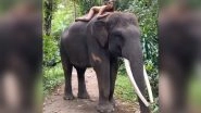 Alesya Kafelnikova, Russian Instagram Influencer Poses Naked on an Endangered Sumatran Elephant in Bali, Sparks Outrage After Video Goes Viral