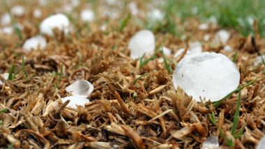 Hailstorm Likely in Vidarbha, Marathwada in Next 2 Days, Says IMD