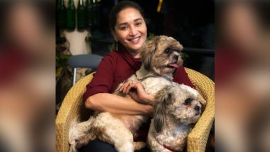 Madhuri Dixit Proves She's a True Blue 'Puppy Lover' in Recent Instagram Post